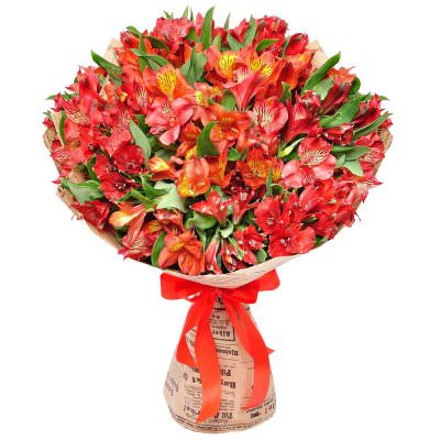 Монобукет из красных альстромерий «Огненная радость»