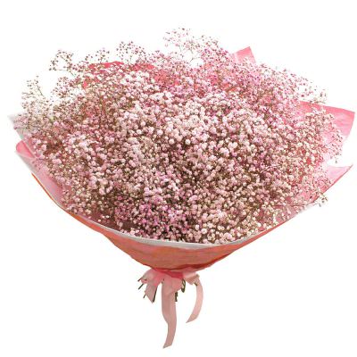 Букет из гипсофил «Нежный бриз»