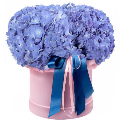 Шляпная коробка с гортензией «Гламур»