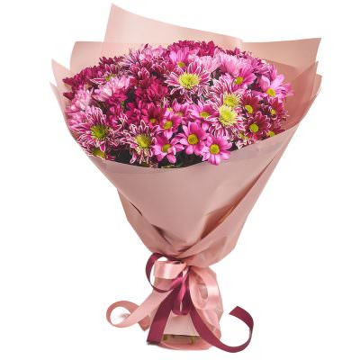 Букет из розовых хризантем «Сладкий шарм»