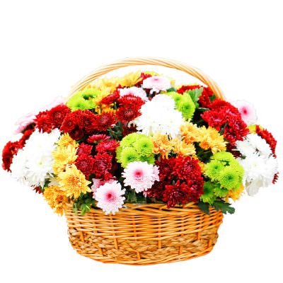Корзина с хризантемами «Цветочный калейдоскоп»