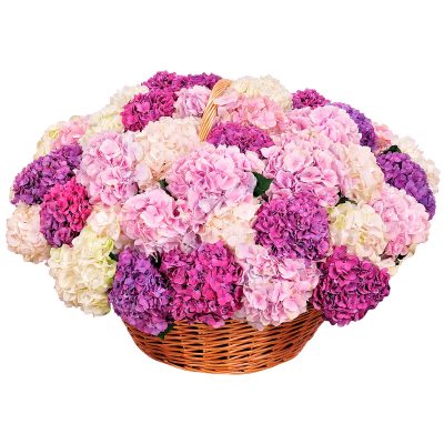 Корзинка с гортензиями «Фиалковая грация»