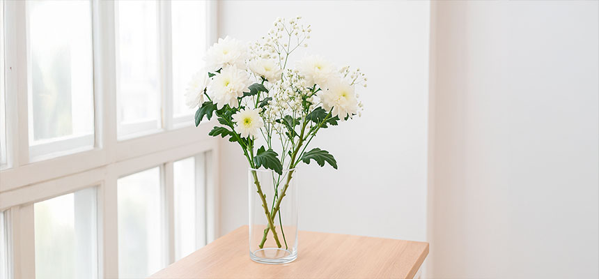 Какие цветы стоят дольше всего без воды